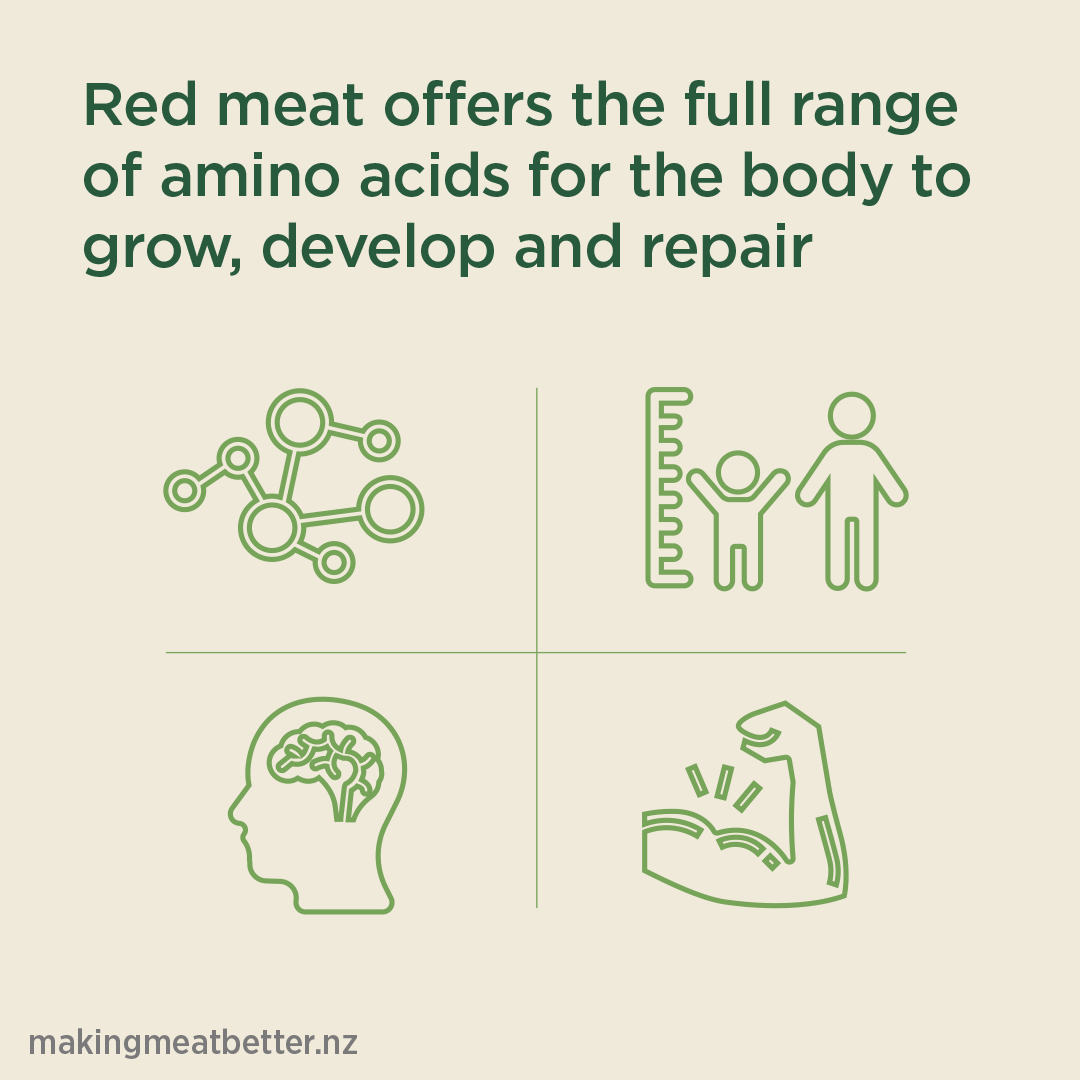 a cross diagram with a network, a brain, a growing child and flexing biceps with the text: red meat offers the full range of amino acids for the body to grow, develop and repair. 