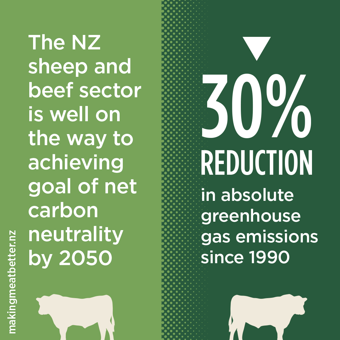 image of two bull silhouettes with text: The NZ sheep and beef sector is well on the way to achieving goal of net carbon neutrality by 2050. 30% reduction in absolute greenhouse gas emissions since 1990 