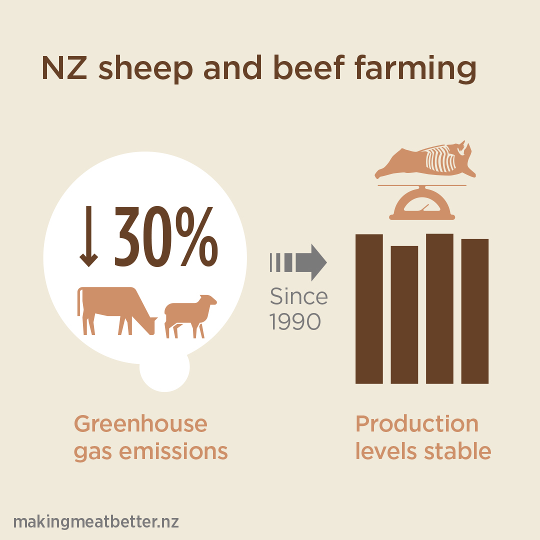 sheep &amp;amp; cattle in a gas bubble with the number 30% and a downward arrow on the left with on the right a four column graph showing stable production levels. With text: nz sheep and beef farming down 30% in greenhouse gas emissions since 1990 while also maintaining stable production levels. 