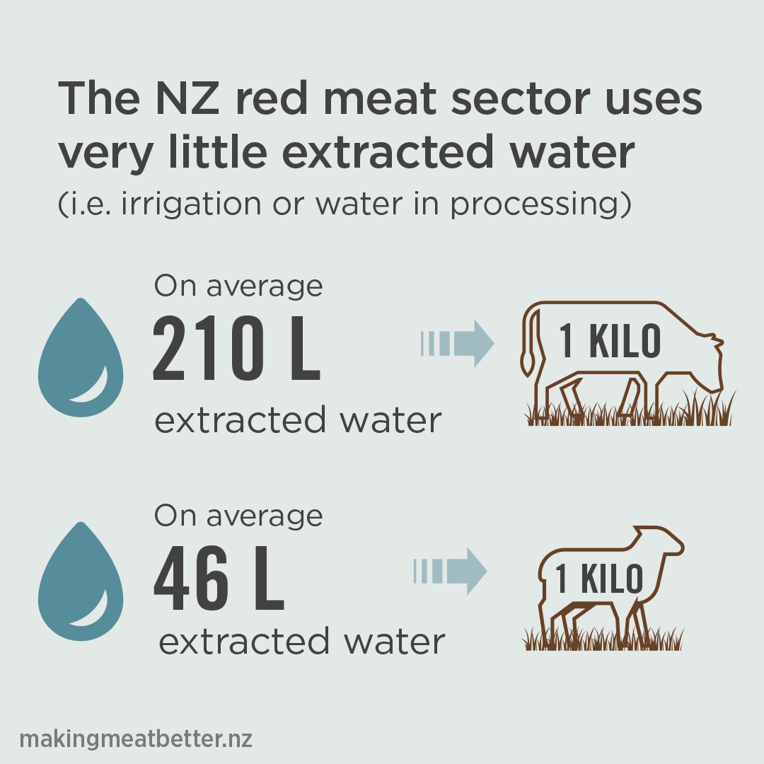 Water droplet of 210 litres pointing at a cattle beast on pasture equating 1 kilo, Water droplet of 46 litres pointing at a sheep on pasture equating 1 kilo, with text: the Nz red meat sector uses very little extracted water (i.e. irrigation or water in processing). On average 210L extracted water is used for the production of 1 kilo of beef. On average 46L extracted water is used for the production of 1 kilo of lamb.  