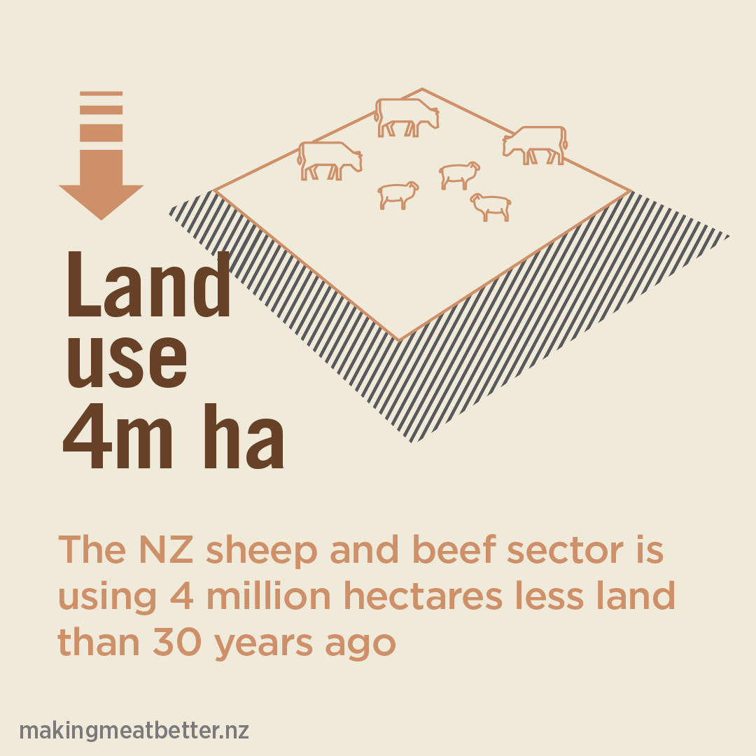 a plot of land with sheep on it that shrinks with text: land use 4m ha. The NZ sheep and beef sector is using 4 million hectares less land than 30 years ago. 