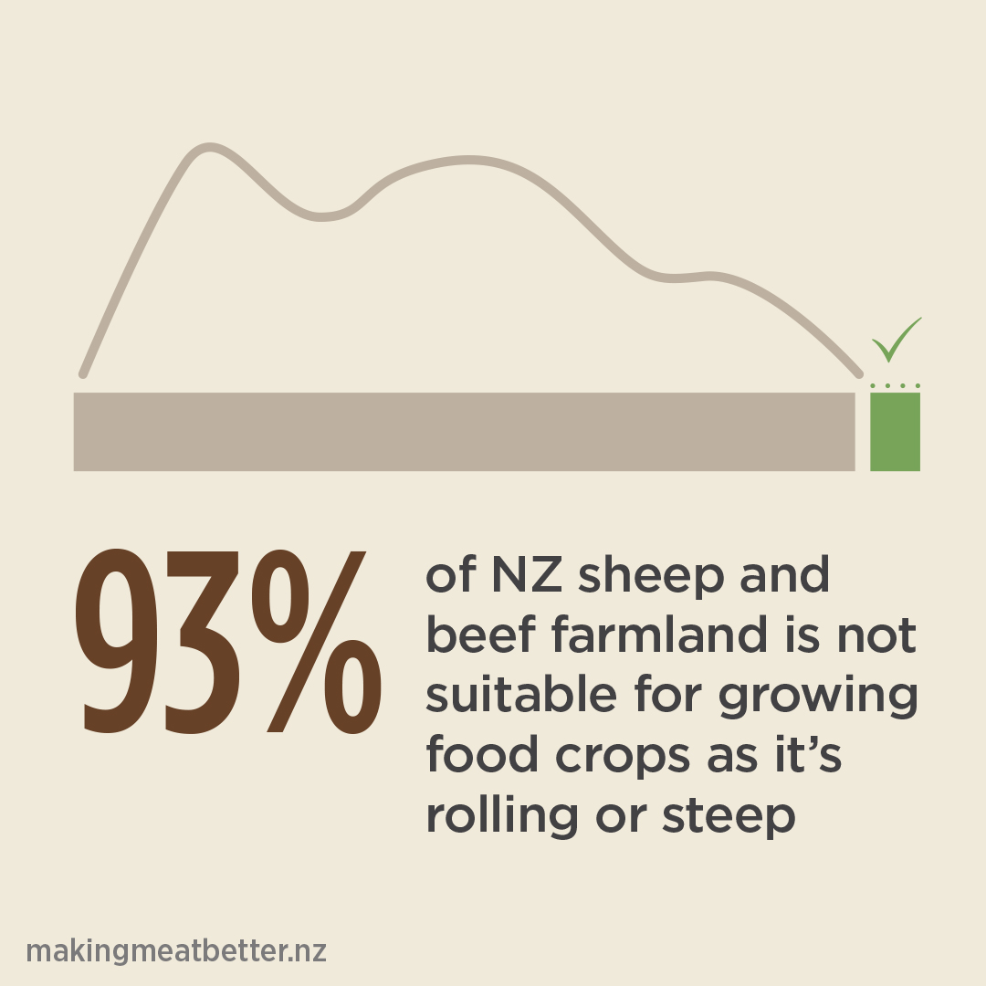 93% of NZ sheep and beef farmland is not suitable for growing food crops as it’s rolling or steep 