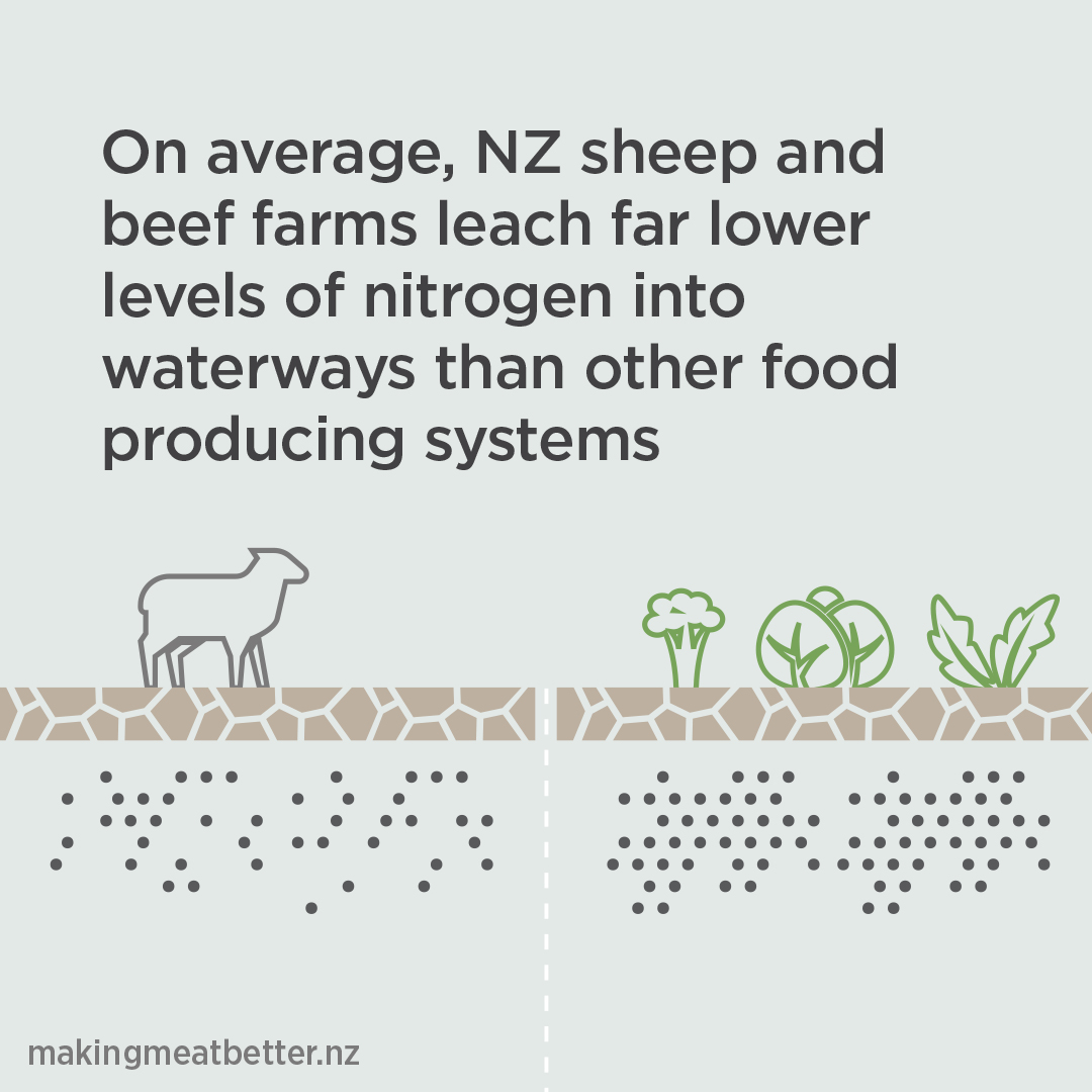 sheep on soil with under soil little amount of dots &amp;amp; plants on soil with under soil a lot of dots. With text: on average, NZ sheep and beef farms leach far lower levels of nitrogen into waterways than other food producing systems. 