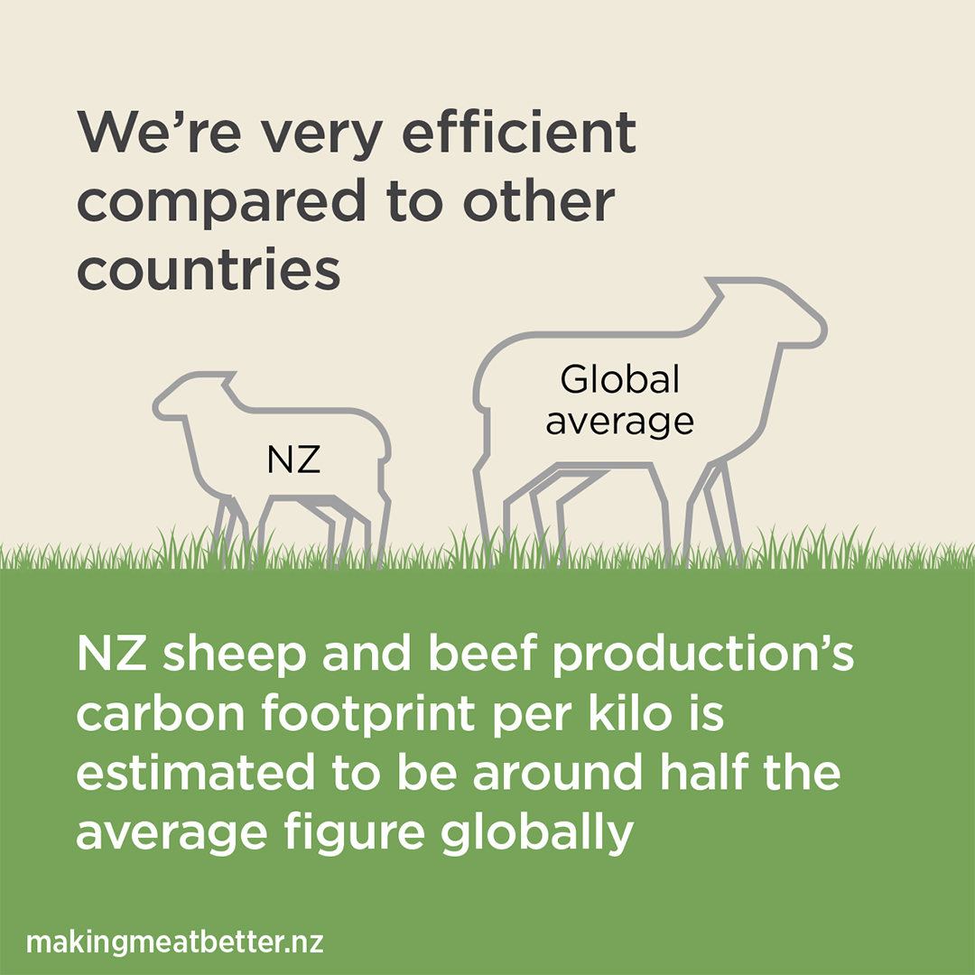 A large sheep labeled Global average and a small sheep labeled NZ on a pasture with text: We’re the most efficient producers of red meat. NZ sheep and beef production’s carbon footprint per kilo is one quarter of the average figure globally.  