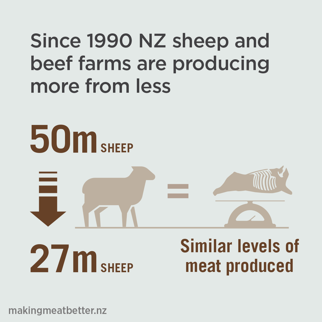 Since 1990 NZ sheep and beef farms are producing more from less 50m sheep down to 27m = similar levels of production 