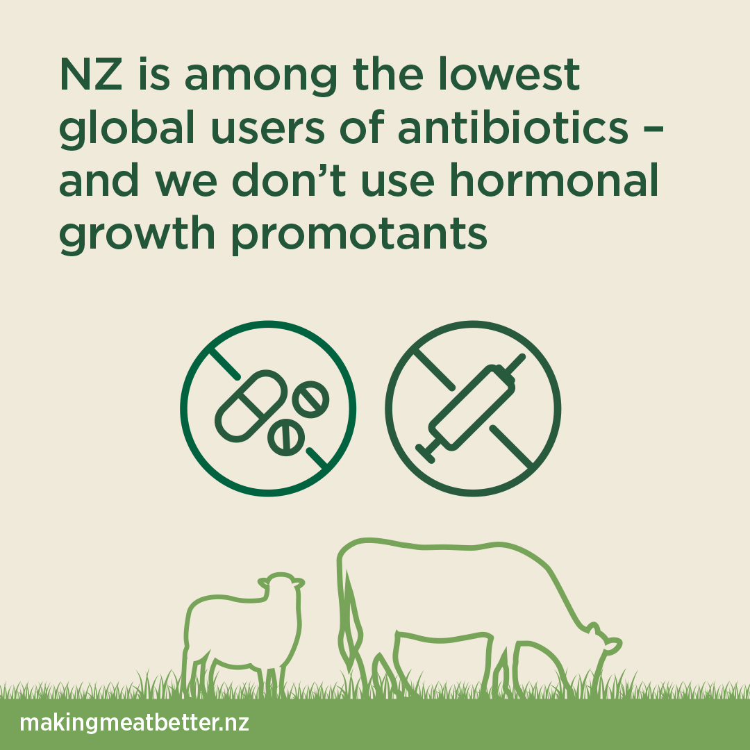 sheep and cattle on grass accompanied by icons showing no medications or shots have been applied, with text: NZ is among the lowest global users of antibiotics and hormonal growth promotants are virtually never used.  