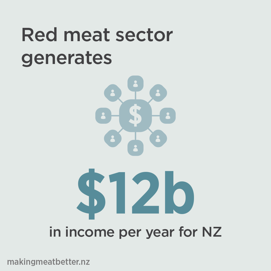 network with dollar sign in middle with text: Red meat sector generates $12b in income per year for NZ 
