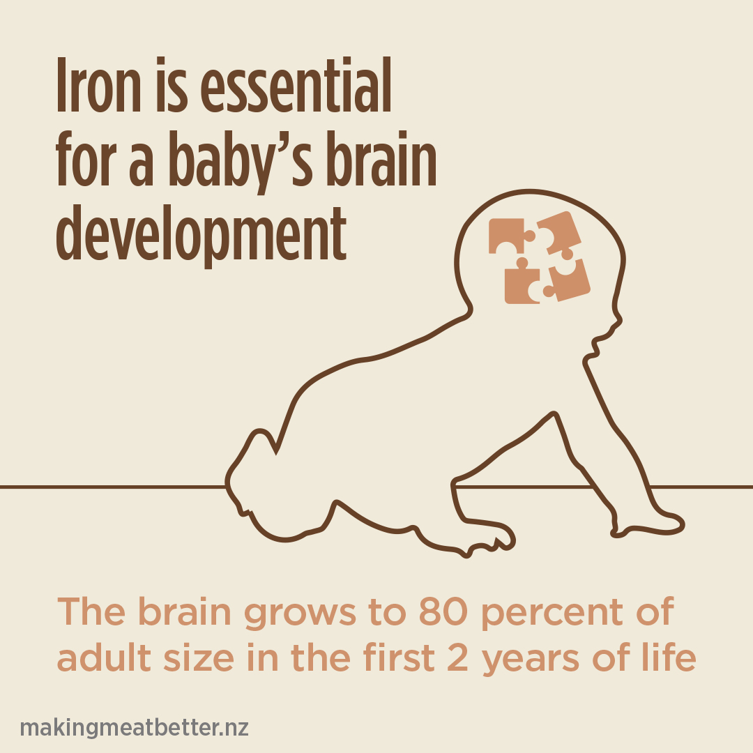 crawling baby with puzzle pieces depicted in their head with text: iron is essential for a baby’s brain development. The brain grows to 80 percent of adult size in the first 2 years of life. 