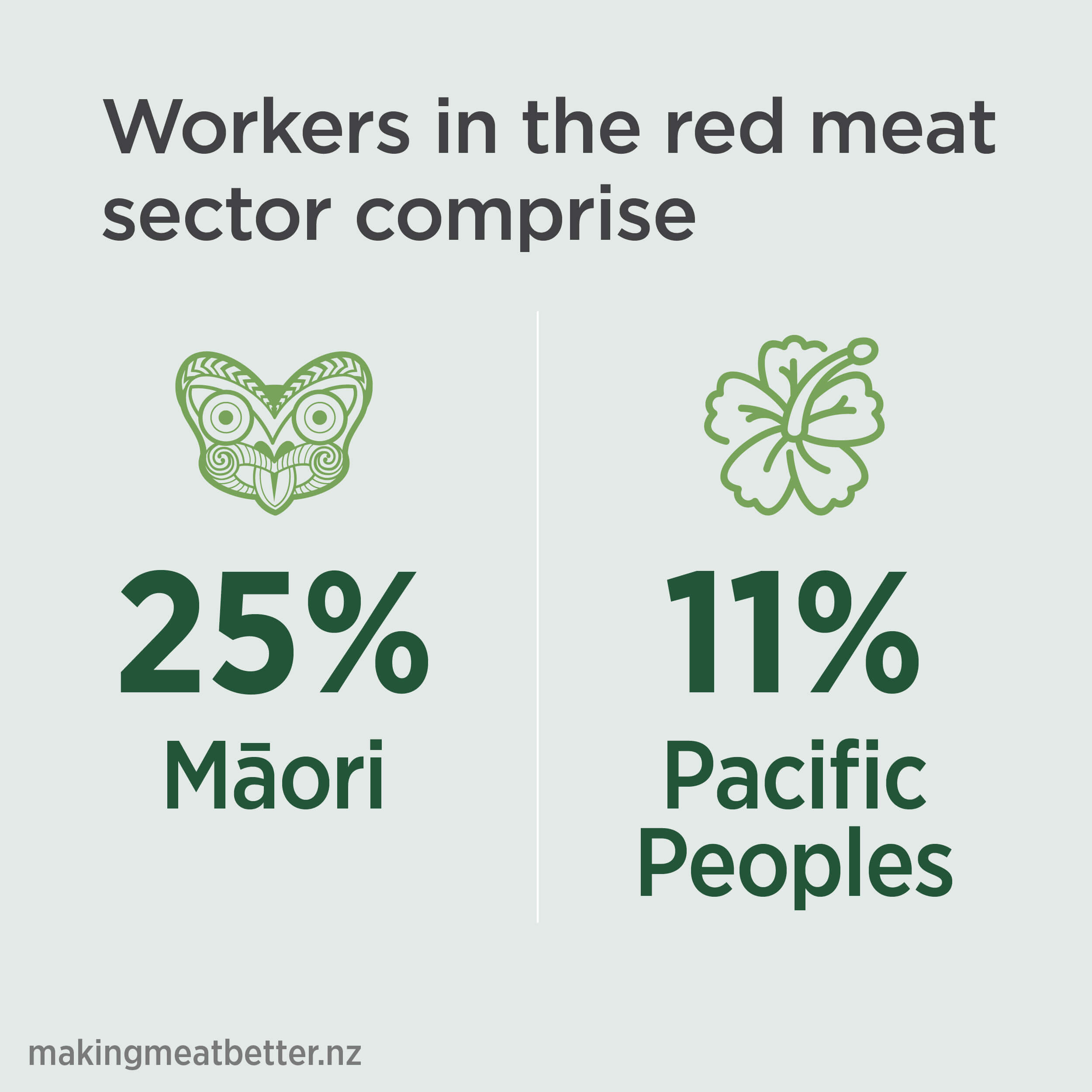Infographic explaining Maori and Pacific workforce contributions 