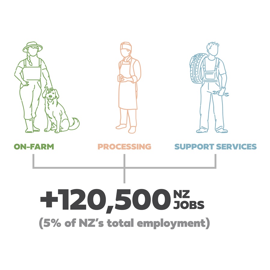 Illustration showing three New Zealand employment sectors—on‑farm, processing, and support services—each represented by a stylised worker icon, with text stating that these sectors account for 120,500 jobs, or 5% of total NZ employment.